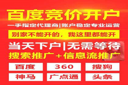 SEM代理的优化策略及成功案例