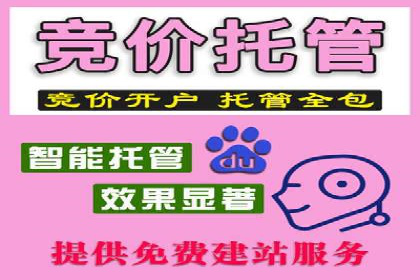 某电商平台的SEM服务托管全流程案例
